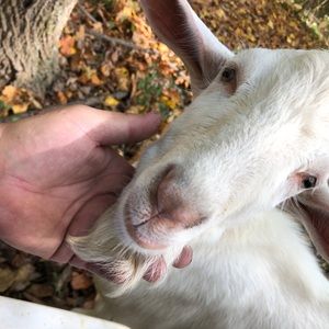 Meet your Posher, Doug